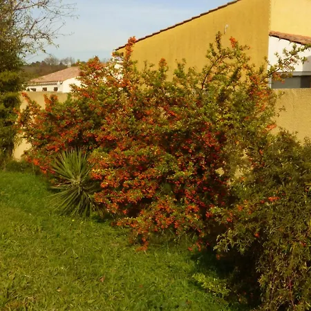Le Clos De Vineyard Retreat, 10 Minutes From Carcassonne