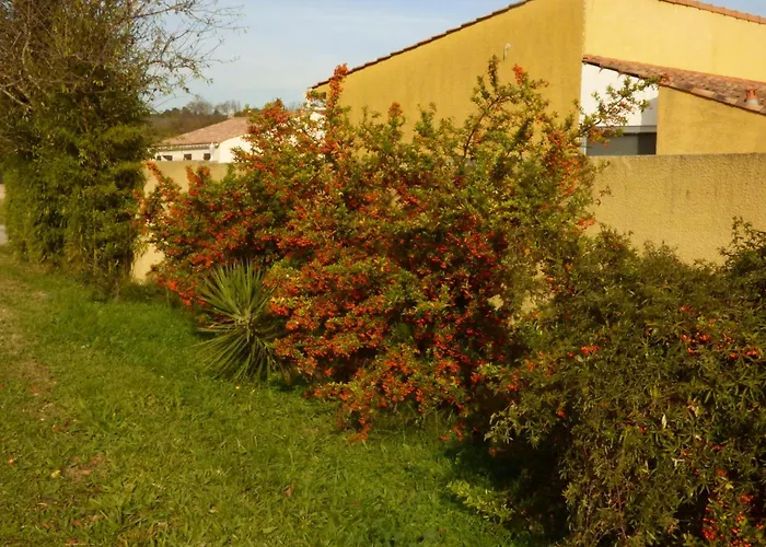 House In A Rural Village Surrounded By Vineyards